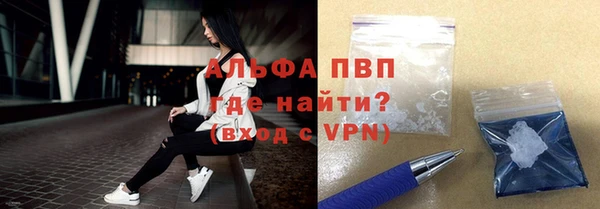 бошки Дмитров