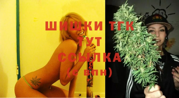 spice Тольятти
