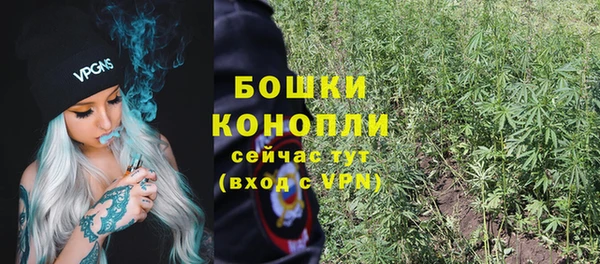 бошки Дмитров