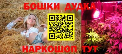 стафф Пушкино